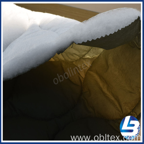 OBL20-Q-049 High Quality Nylon Fabric With Quilting